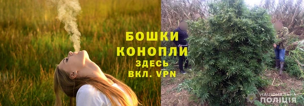 гидра Киреевск