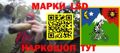 Альфа ПВП Новодвинск