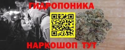эйфоретик Новозыбков