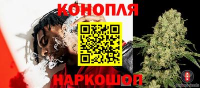 Альфа ПВП Новодвинск