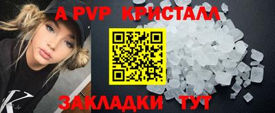 Альфа ПВП Новодвинск