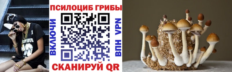 Псилоцибиновые грибы прущие грибы  Нерюнгри 