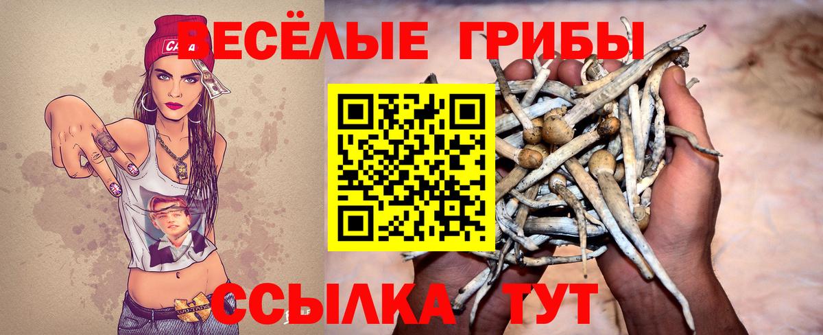 Галлюциногенные грибы MAGIC MUSHROOMS Нерюнгри