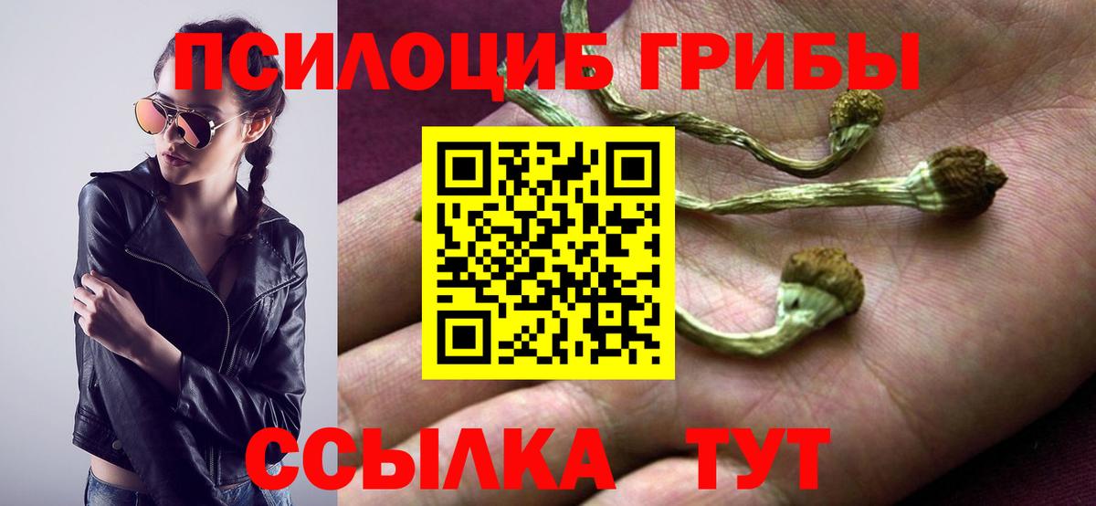 Псилоцибиновые грибы Psilocybe  купить закладку  Нерюнгри  Вход с VPN 